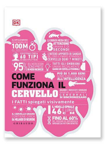 Come funziona il cervello