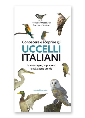 Conoscere e scoprire gli uccelli italiani