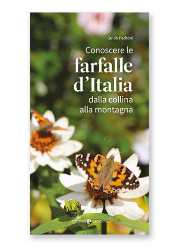 Conoscere le farfalle d'Italia